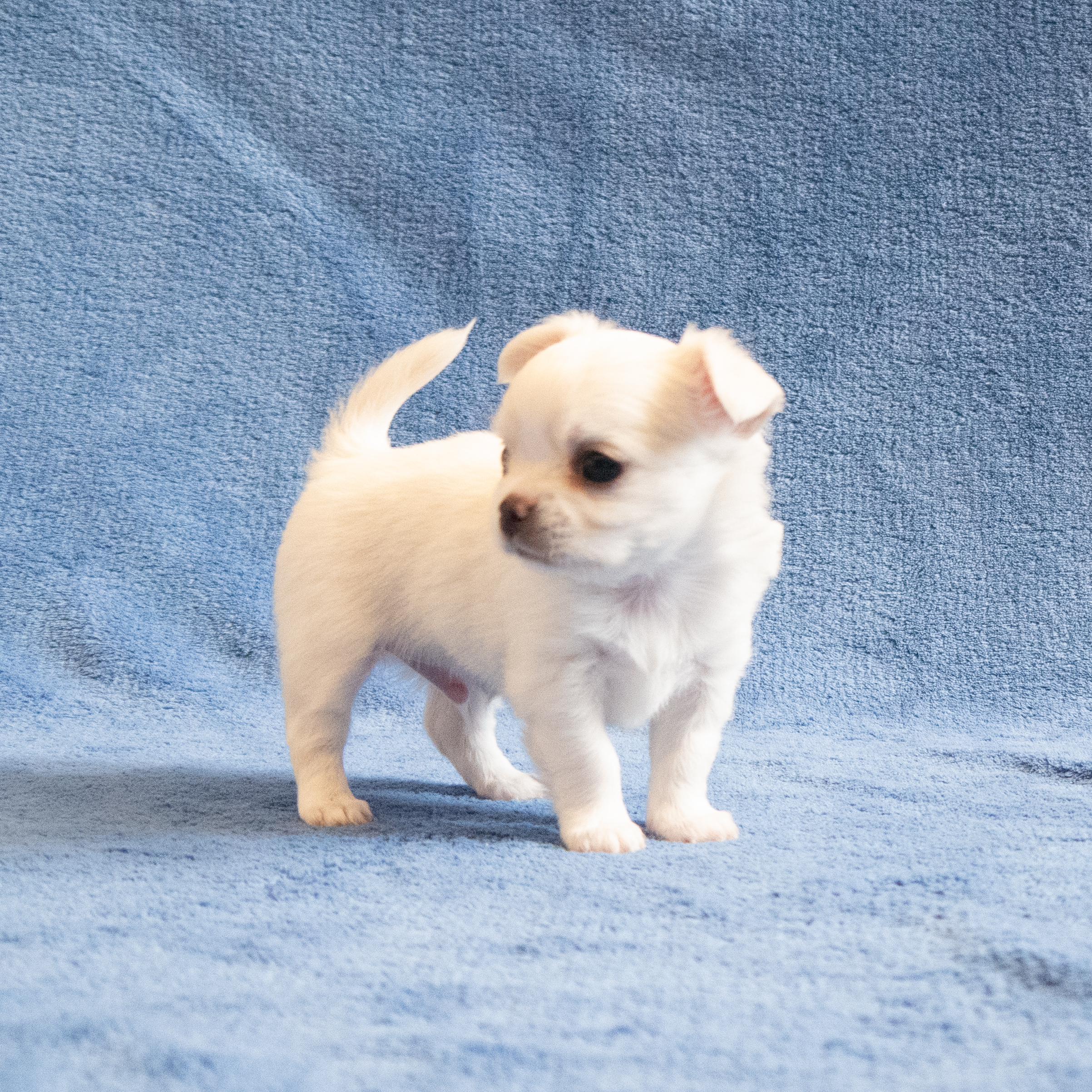 Yuki - 2026-07-25